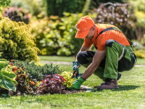 Landscape Maintenance in Morristown