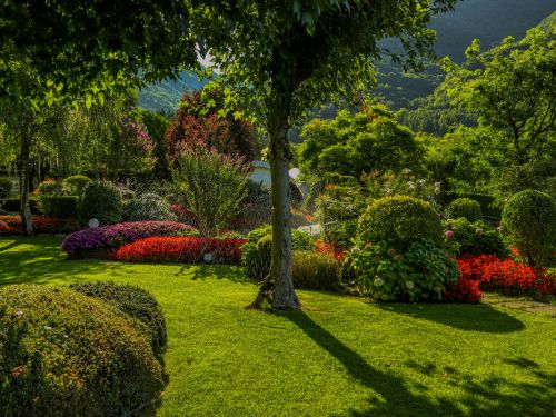 Landscape Planting Morristown