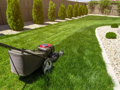 Lawn Care in Morristown