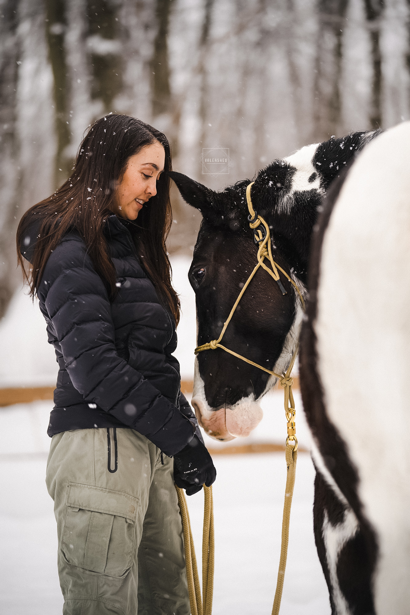 Avoir envie de vendre son cheval : et si ce n’était qu’une étape vers ton rêve ?