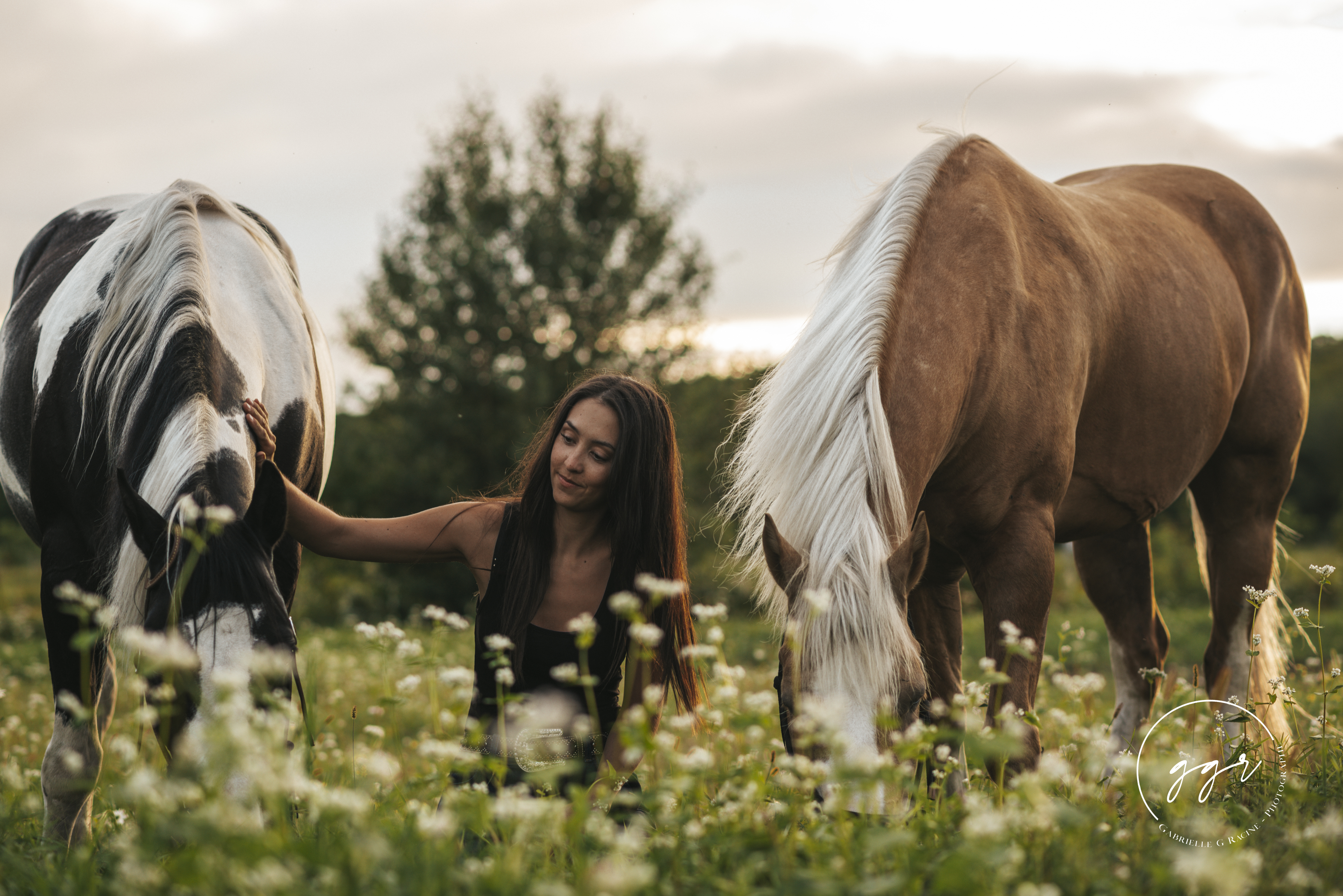 Pourquoi ton cheval t'écoute pas