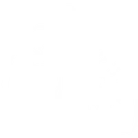 Lungs