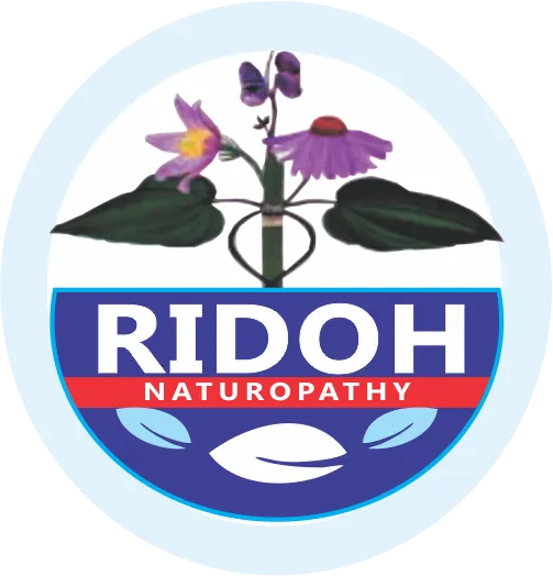 Brand Lhttps://storage.googleapis.com/msgsndr/qhk38GAQOCUZCEornfJv/media/675bdd3fdb46564943f5b208.pngogo