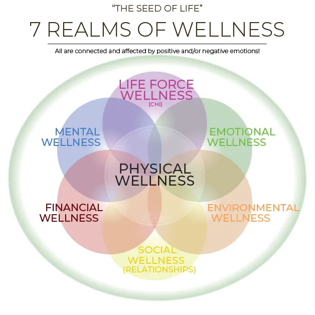 7 Realms of Wellness Graphic Placeholder