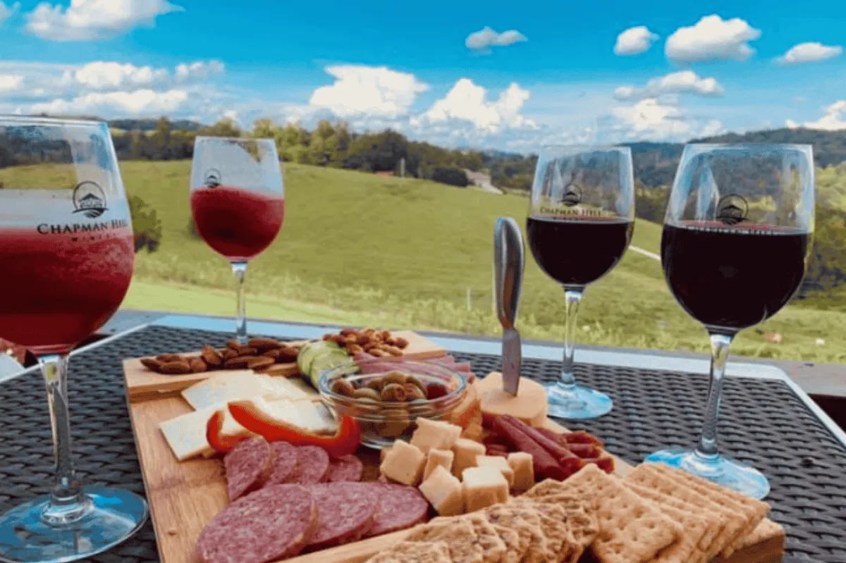 Chapman Hill Winery | Near The Nest at Turkey Cove