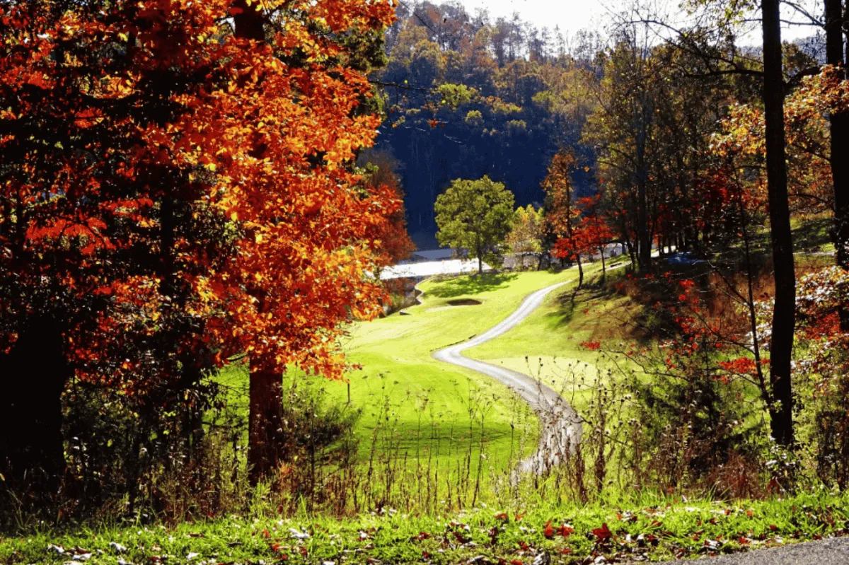 The Greens at Deerfield | Golf Course | Near The Nest at Turkey Cove