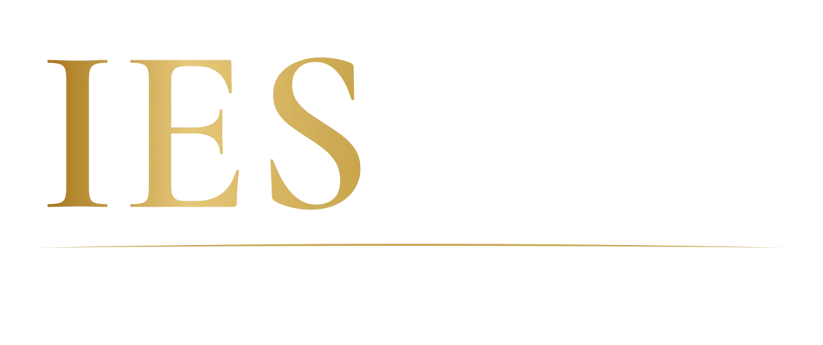 Enseignement supérieur international et formations professionnelles IESCCI