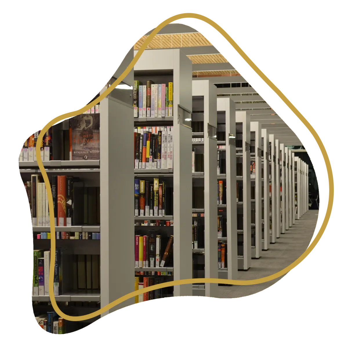 Bibliothèque de l’IESCCI pour les étudiants et la formation supérieure