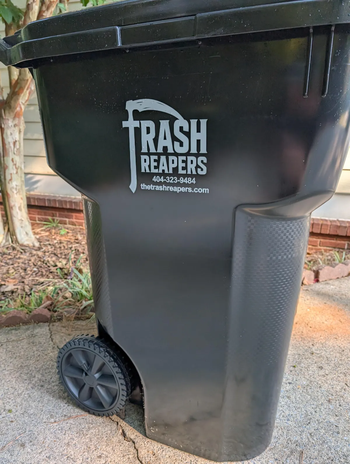 Garbage Collection Near Me: What to Look for in a Local Provider