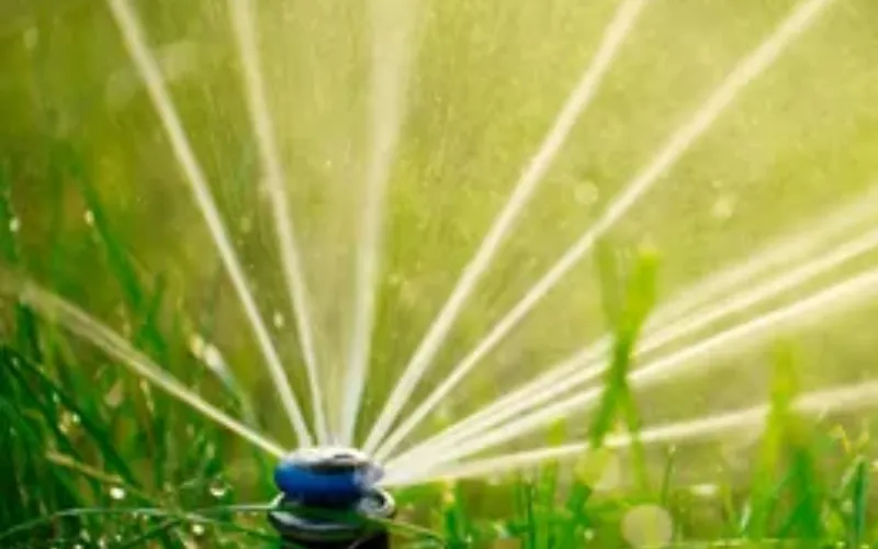 Garden Maintenance Byford – Pruning and Garden Care