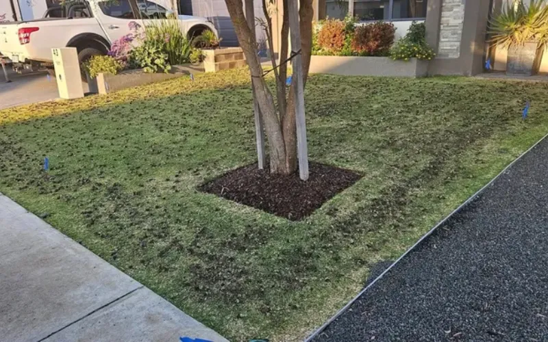 Garden Maintenance Byford – Pruning and Garden Care
