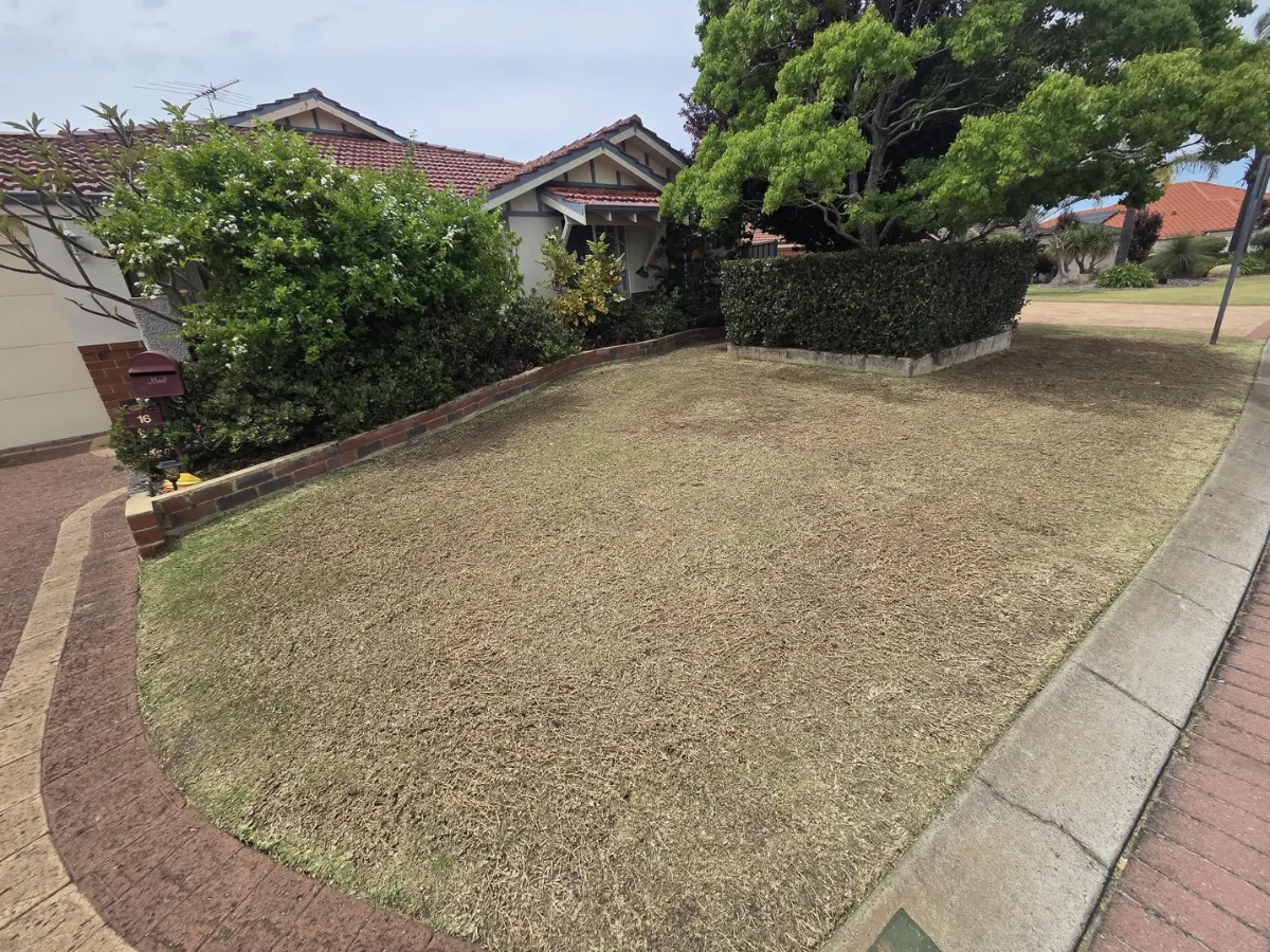 Neatly trimmed privacy hedges and lawn mowing completed at residential property in Byford.