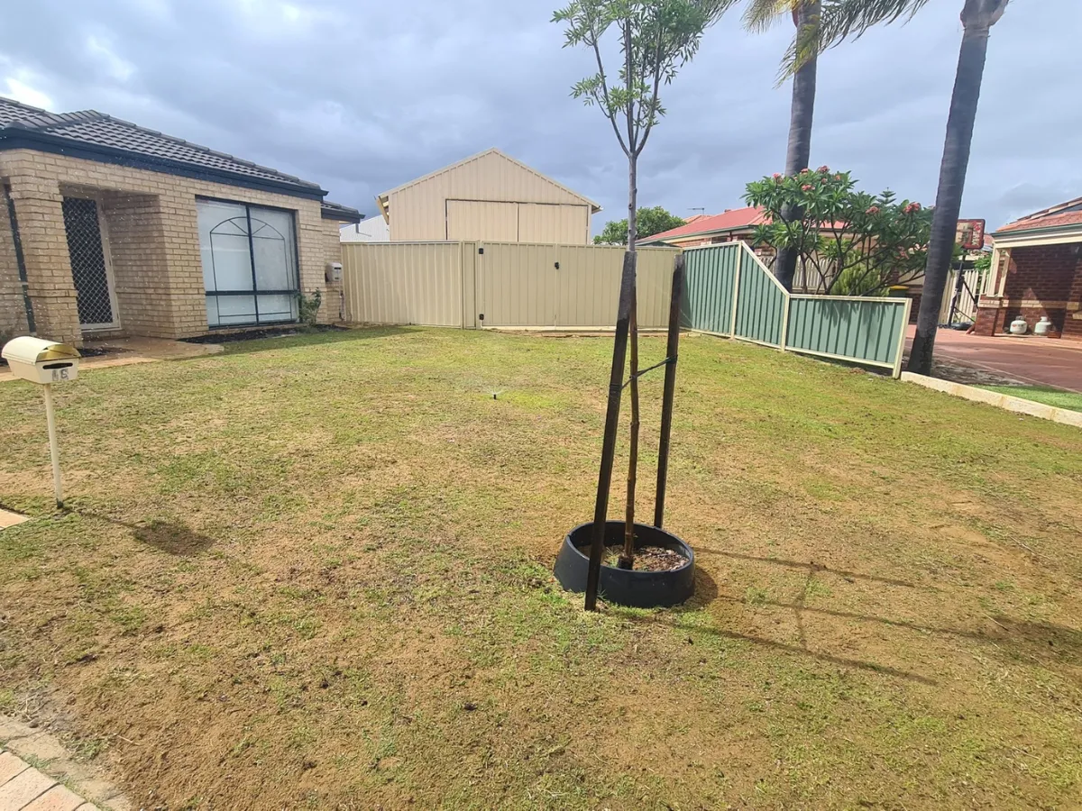 commercial lawn mowing Byford