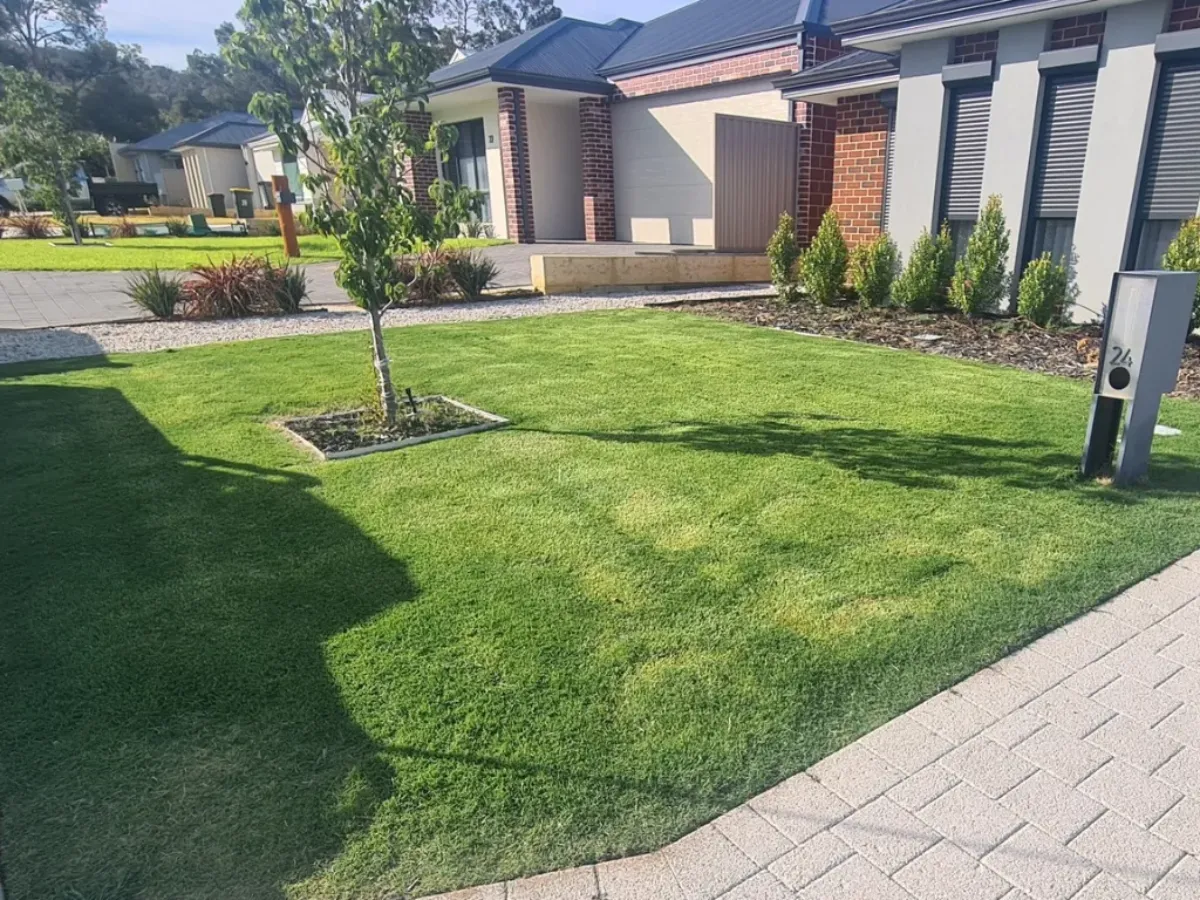 Lawn Care Byford