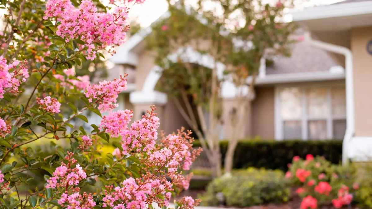 Springtime