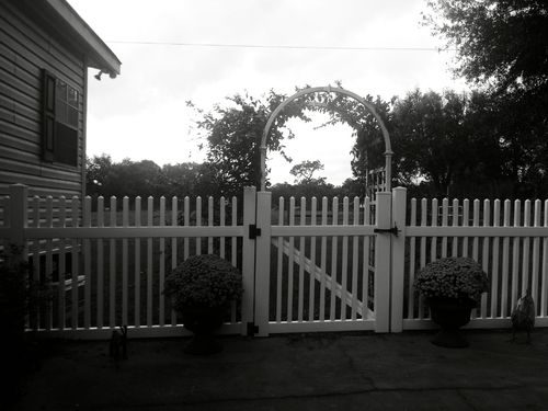 Middleburg Custom fencing