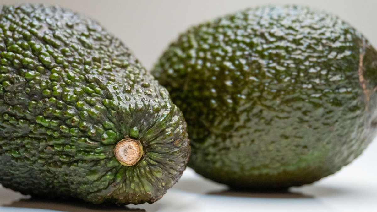 Two uniform mature-green Hass avocados side by side at export grading, matched for size and clean pebbly skin to Class I specification