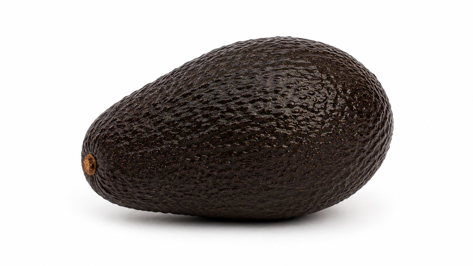 Export-grade Ugandan Hass avocados, dry-matter tested fruit in season January to September and airfreighted from Entebbe
