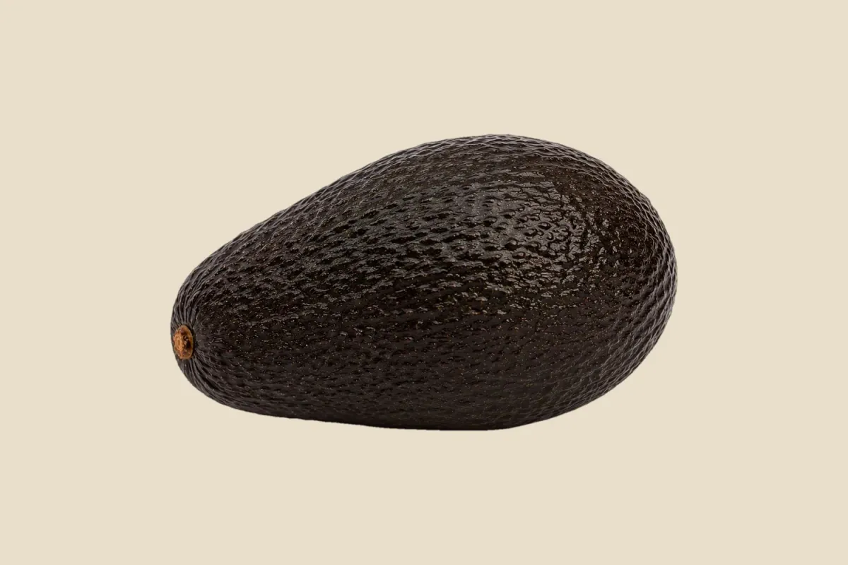 Export-grade Ugandan Hass avocados, dry-matter tested fruit in season January to September and airfreighted from Entebbe