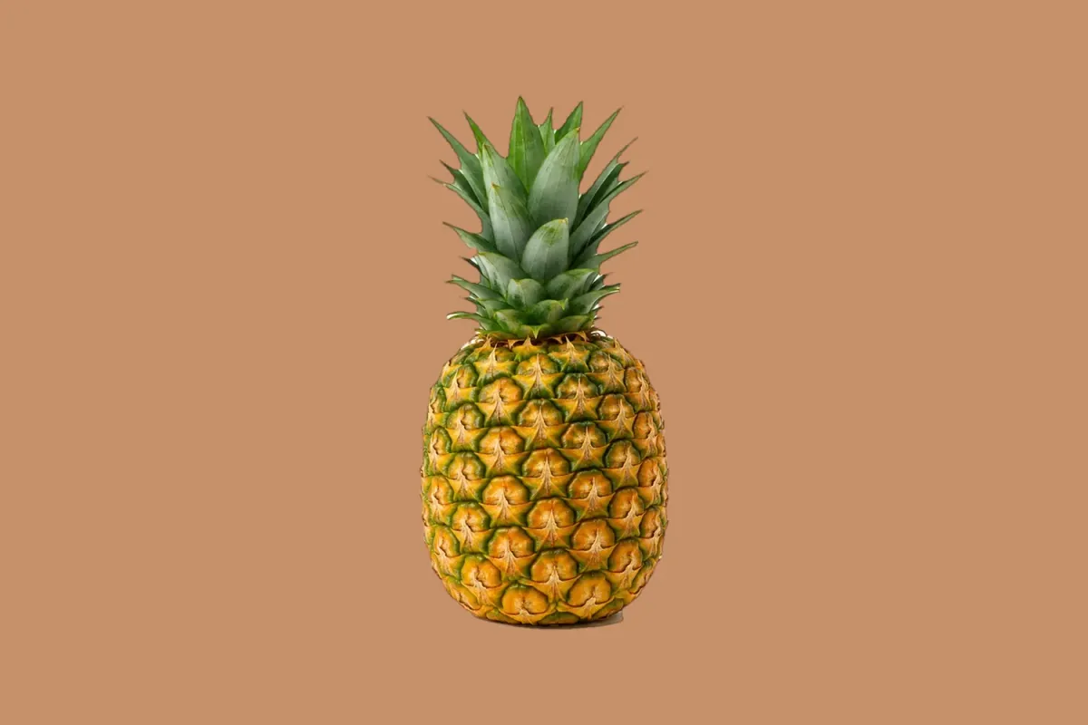 Whole export-grade Ugandan Smooth Cayenne pineapple with fresh green crown, cut at eating ripeness and airfreighted from Entebbe all year round