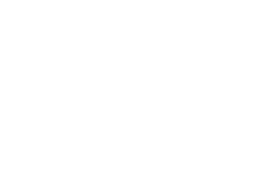 Logo Elevate