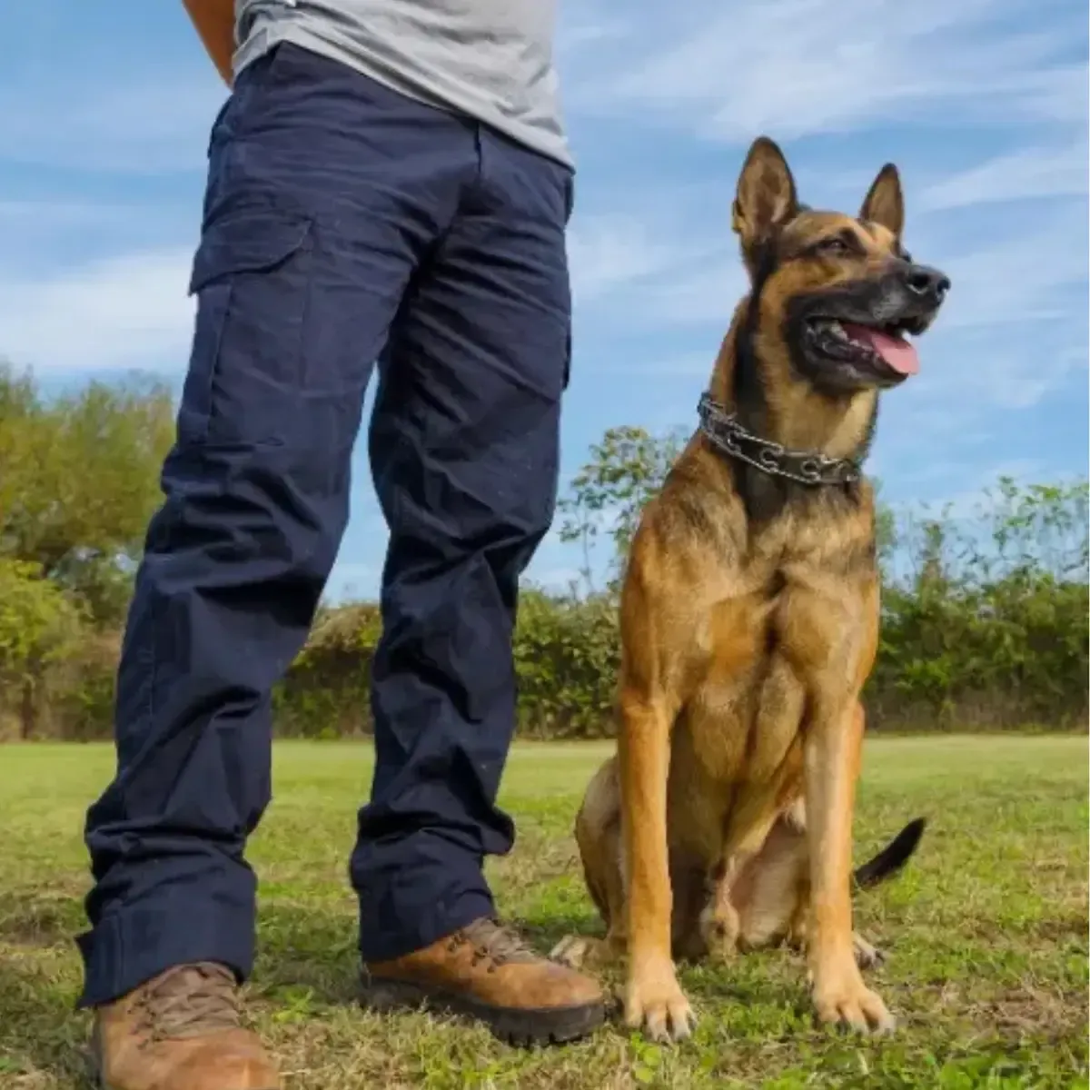 Private, Mobile, In-Home and Behavior Modification Dog Training in Las Vegas, Nevada