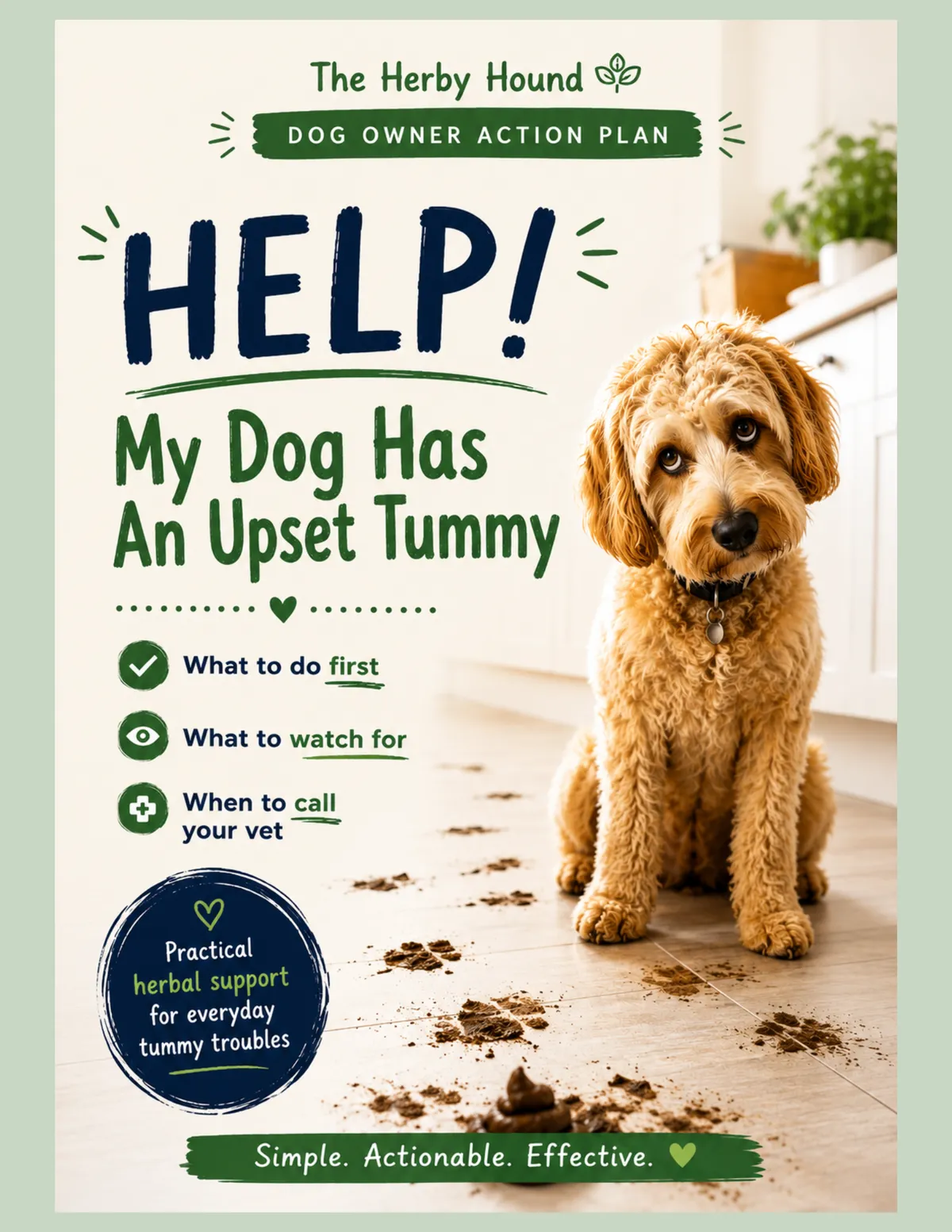 Do ooking guilty as he has pooped on the floor
