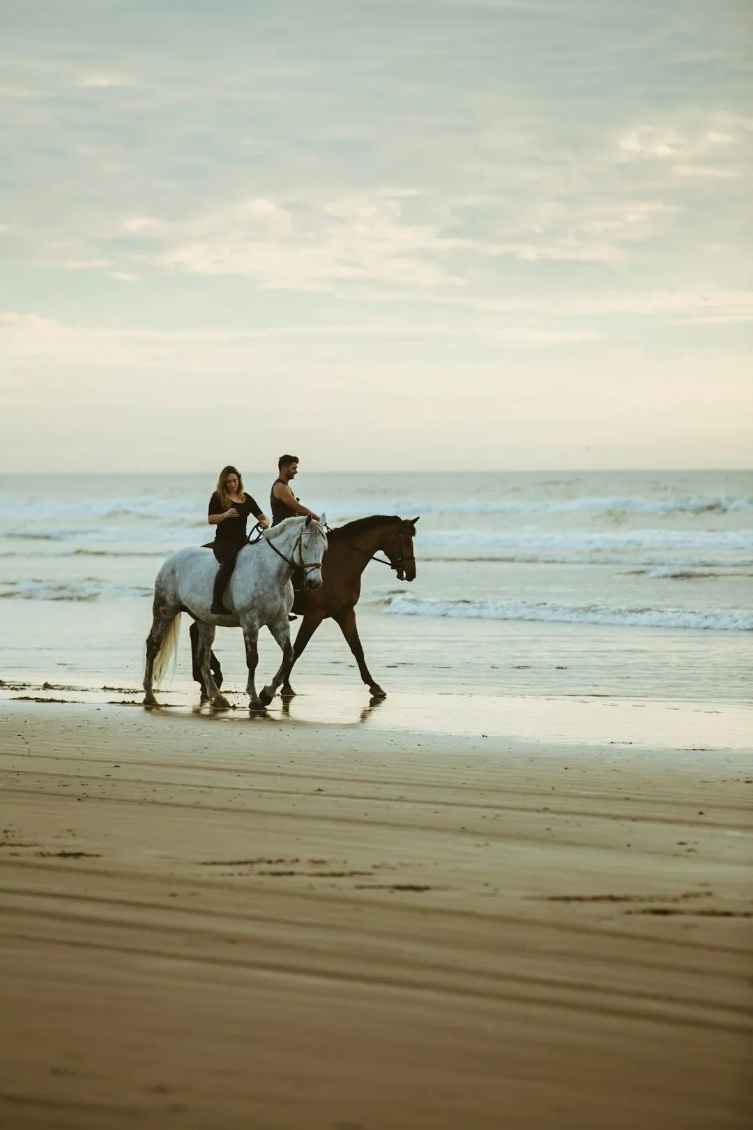 horses in a row