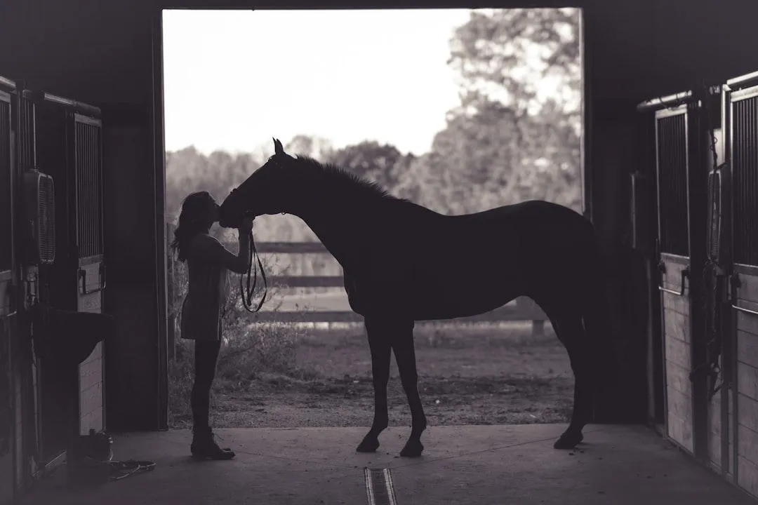 horse kisses