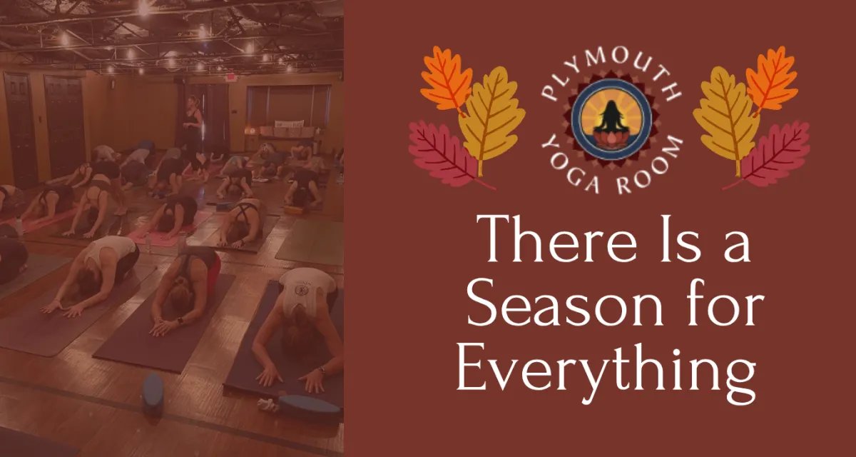 There Is a Season for Everything 
