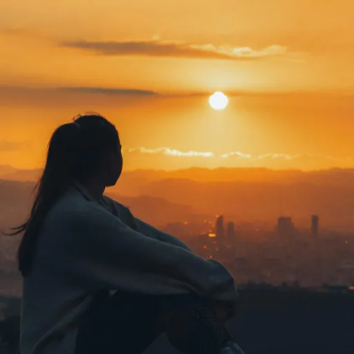 Sun's View