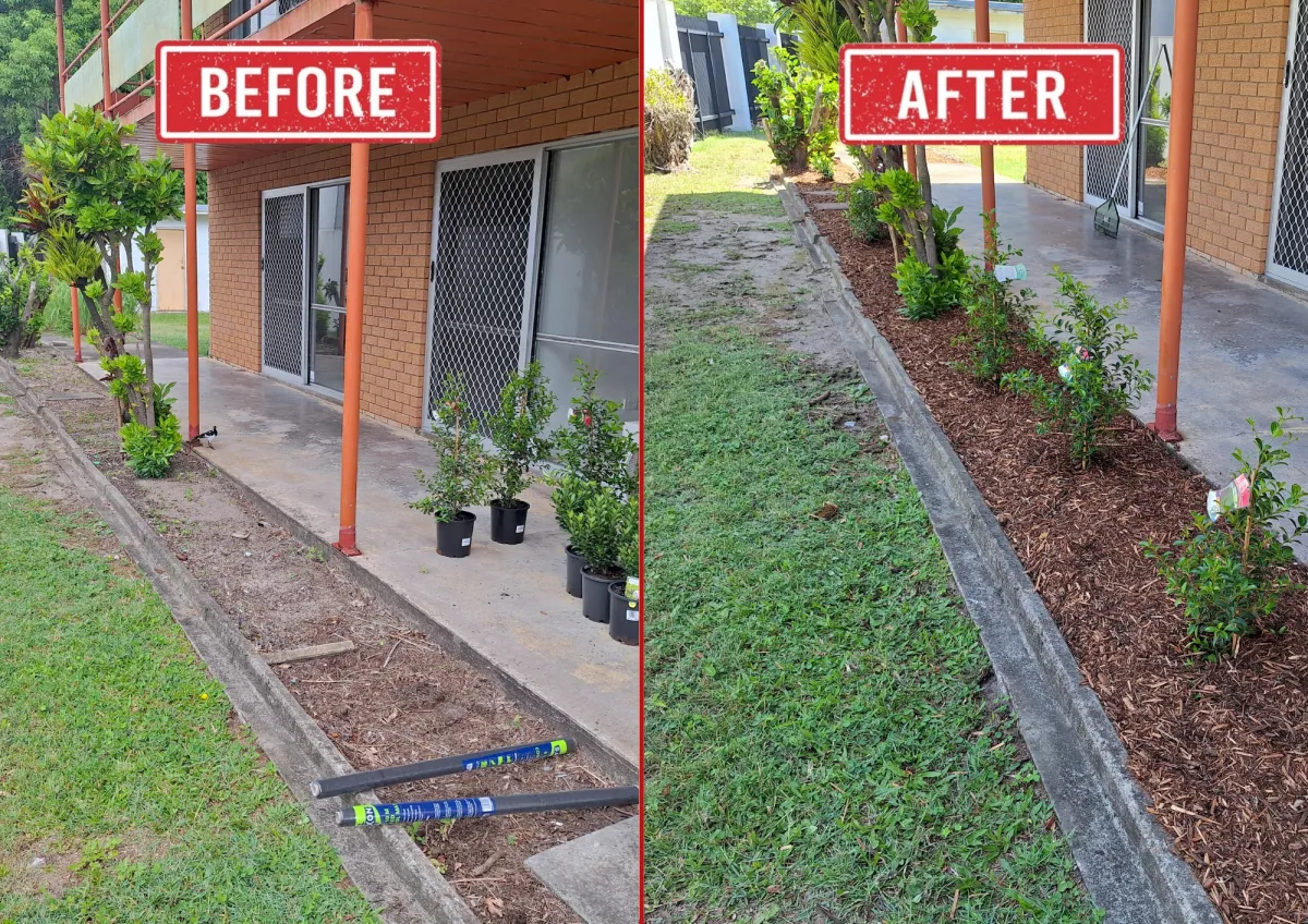 Lawn Care Sunshine Coast