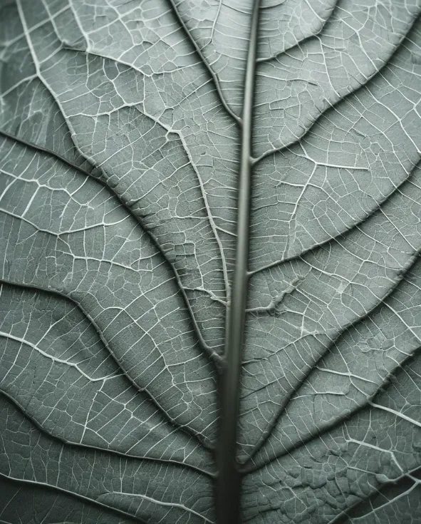 leaf system