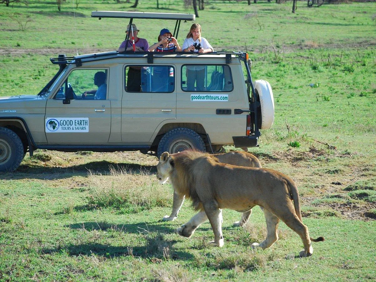 group safari tours