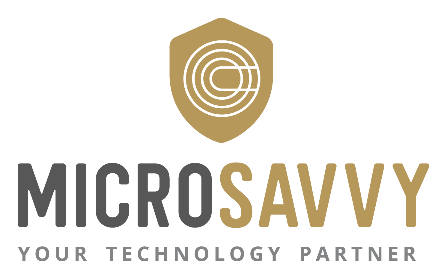 Microsavvy, your technology partner