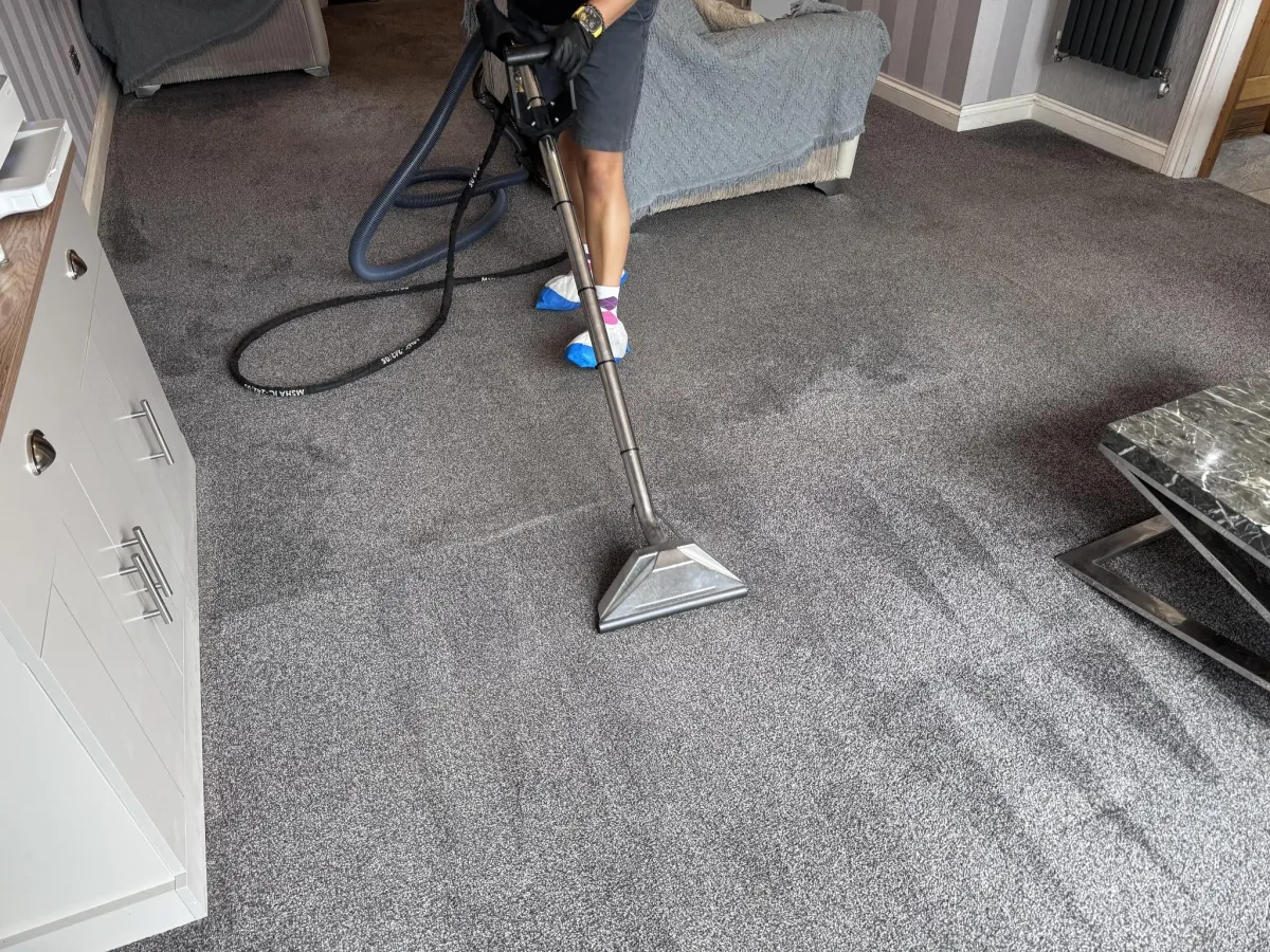 Carpet after Paul has cleaned it with the 8 step process