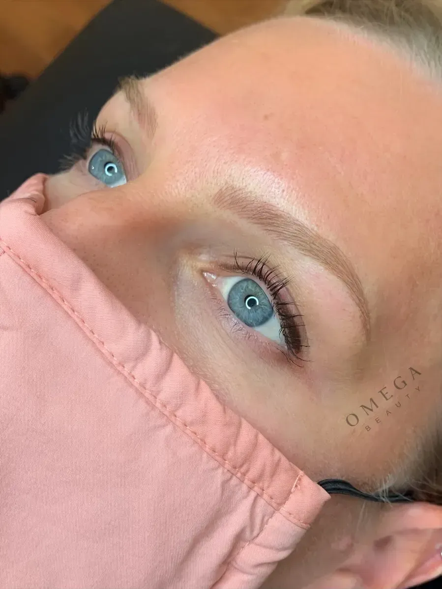 Eyebrow Treatment Microblading Microblading plus Shading