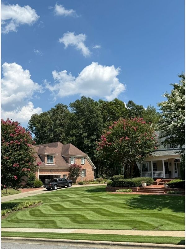string trimming in Greenville, NC