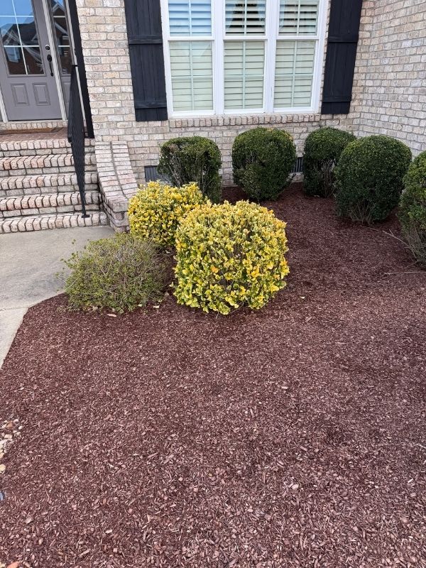 Mulching installation in Greenville, NC