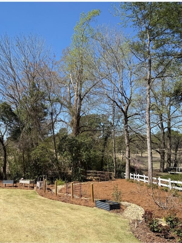 Lawn mowing service in frankfort, ky by precision lawn care