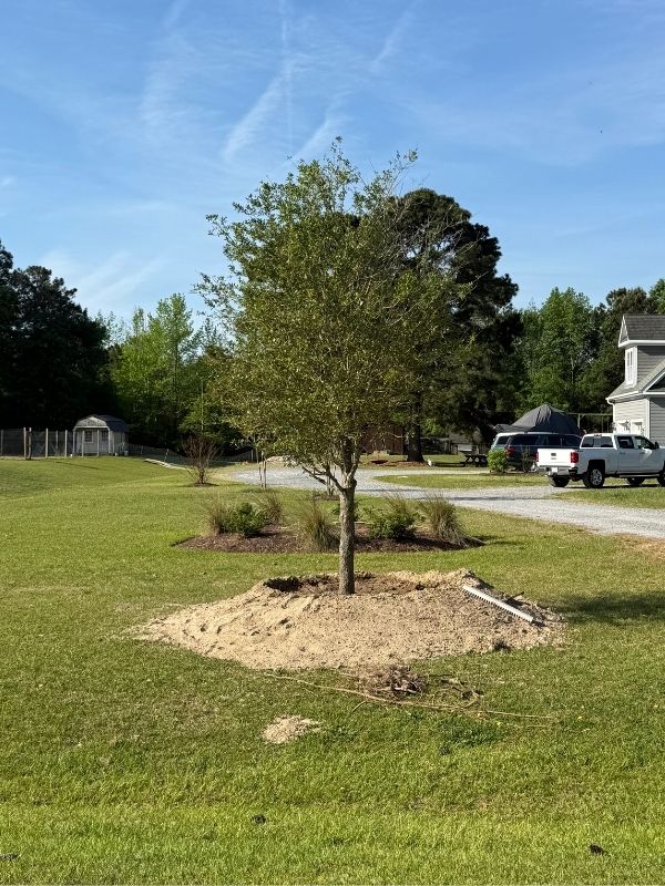 Plant installation in Greenville, NC