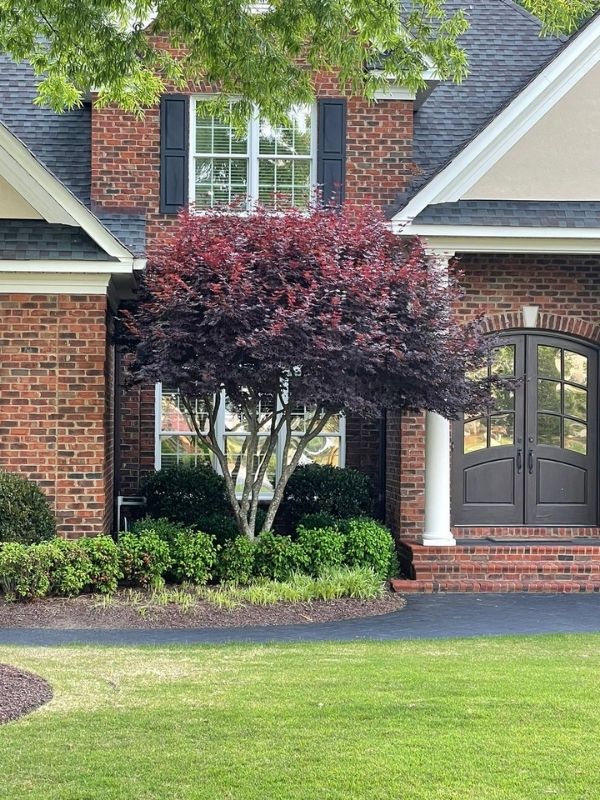 Landscaping Services in Greenville, NC by Clean Cut Lawns