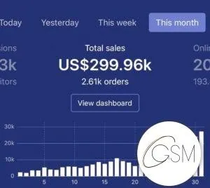 GSM Growth Agency – eCommerce Growth Agency
