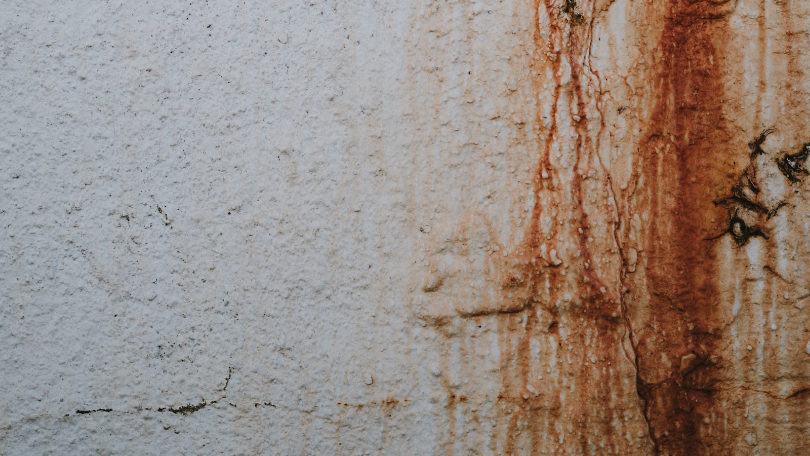 Spalling Concrete on Your Balcony? What Those Cracks and Rust Stains Are Really Telling Your HOA