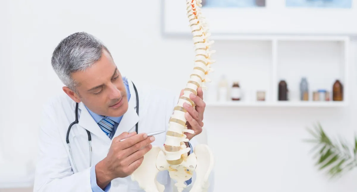 front angle of an orthopedic doctor point at spine structure