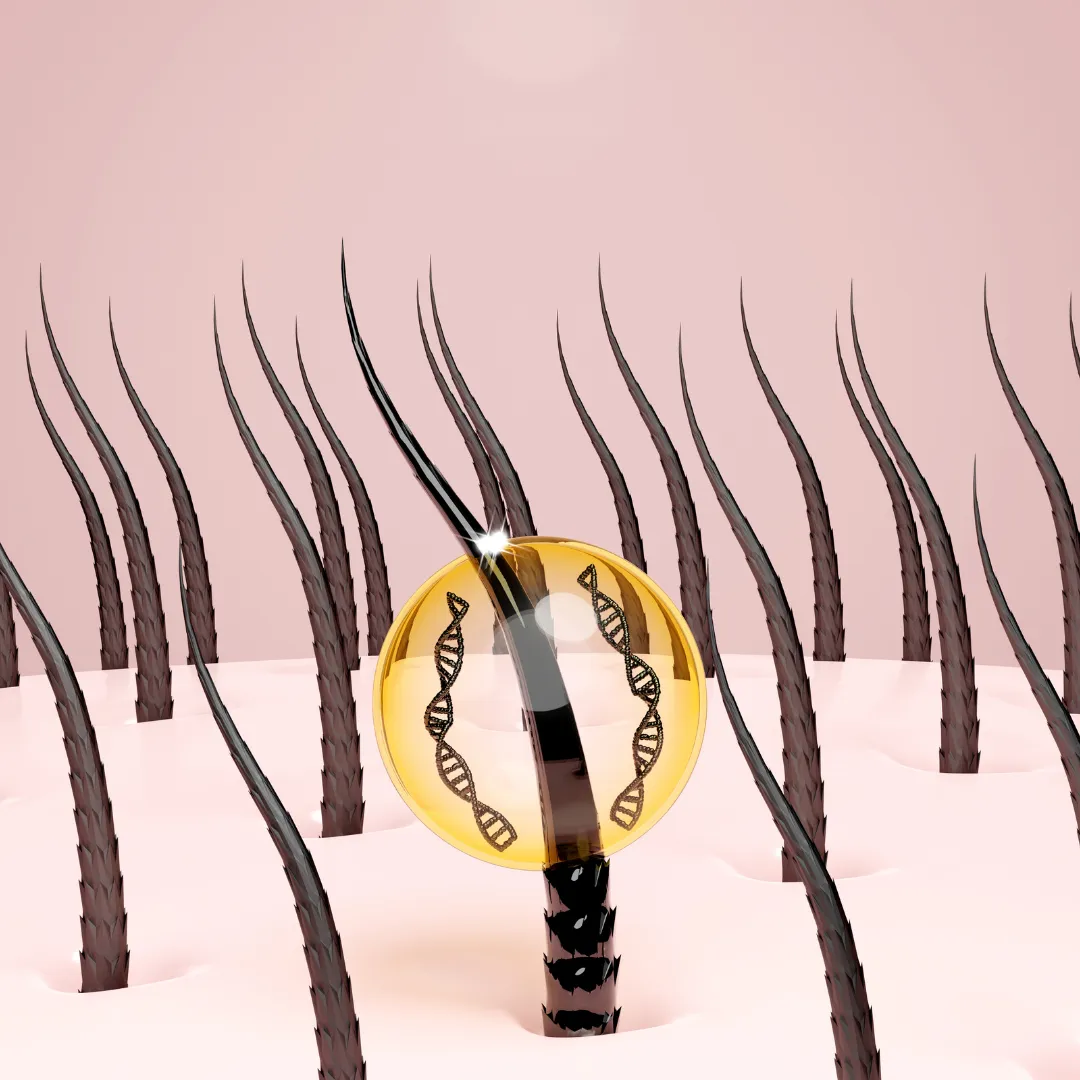 3D illustration showing strands of hair emerging from the scalp, with one hair highlighted by a magnifying lens containing a DNA strand symbol, representing a focus on genetic factors in hair growth or hair health.