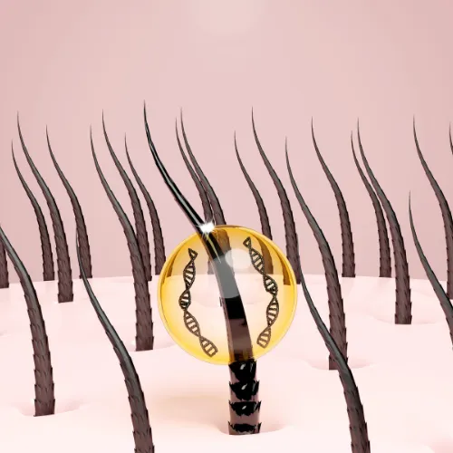 3D illustration showing strands of hair emerging from the scalp, with one hair highlighted by a magnifying lens containing a DNA strand symbol, representing a focus on genetic factors in hair growth or hair health.