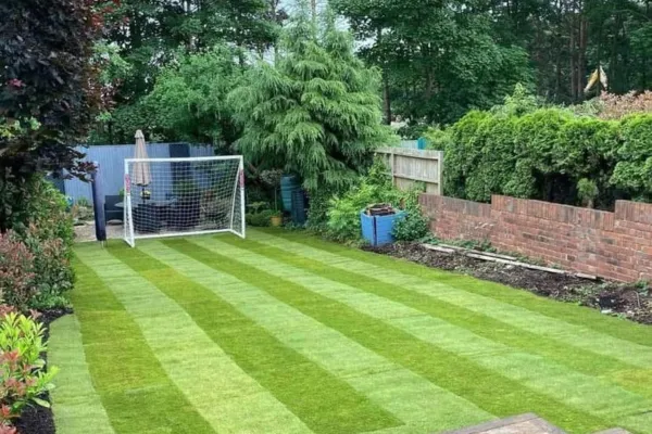 Expert landscape maintenance services by Batchelors Landscapes in Mansfield, keeping gardens and outdoor spaces pristine and well-maintained