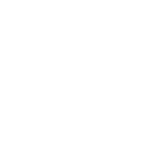 wrench icon