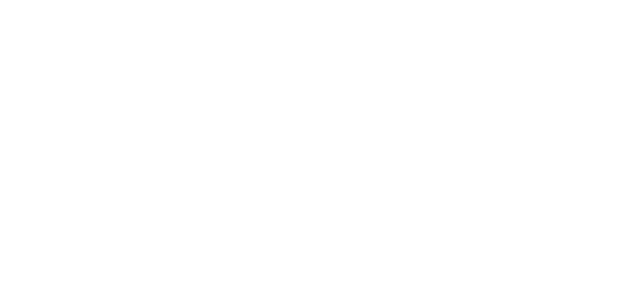 Modus Flows